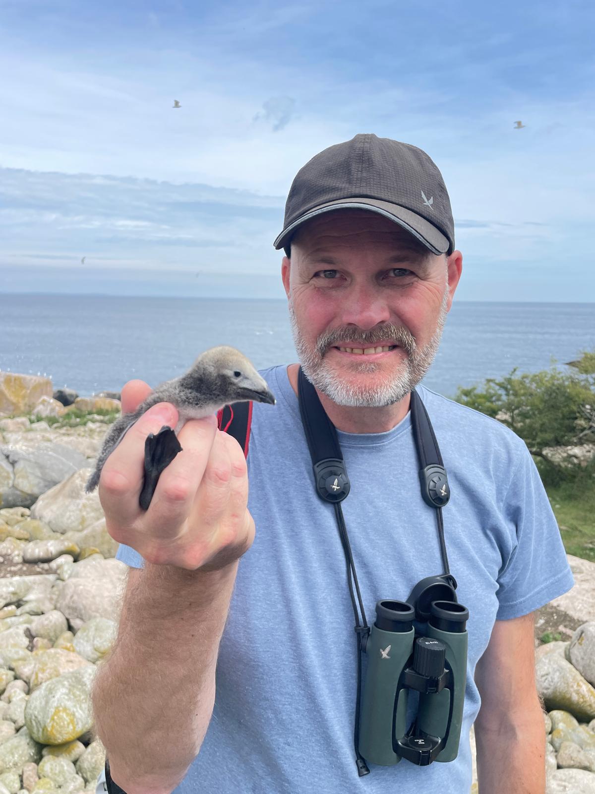 Jörgen Bernsmo i fält med kikare runt halsen, håller en fågelunge i handen vid en klippkust med hav i bakgrunden