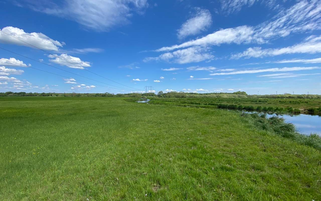 Grönvuxen strandäng med ett ringlande vattendrag under blå himmel med vita moln