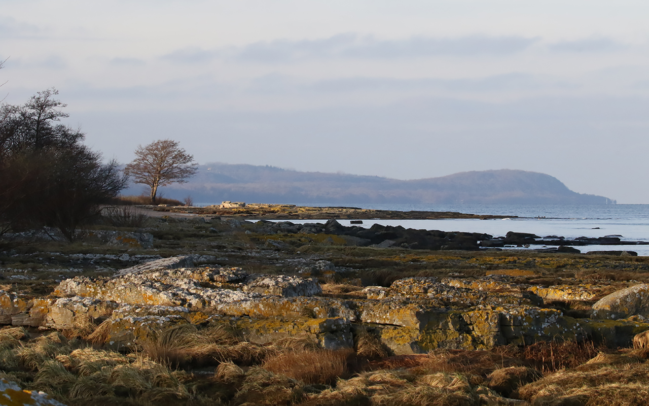 Stenshuvud