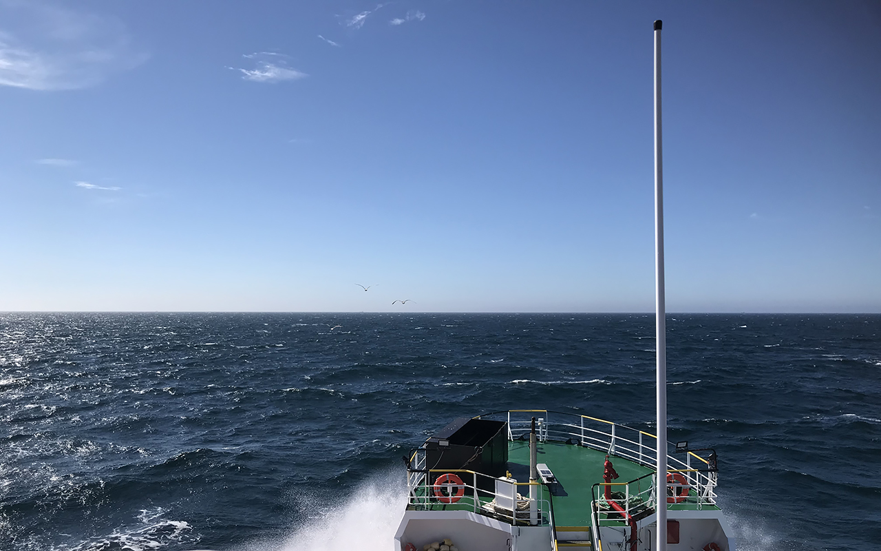 Utsikt från ett forskningsfartygs brygga över mörkblått hav med trutar i luften vid horisonten